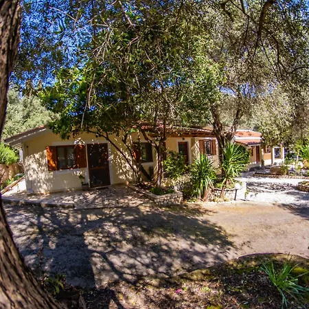 Apartman Kineri House